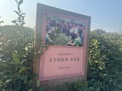 -中国茶叶博物馆(双峰馆区)