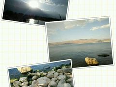 -才村湿地公园