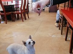 -花水湾红太阳牛肉汤锅