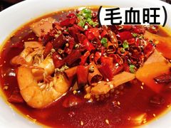 -三强鸽子(中原路店)
