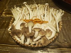 菌菇拼盘-马厂老火锅(湛江路店)