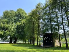 -南宁良凤江国家森林公园