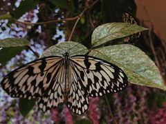 -昆明市金殿名胜区