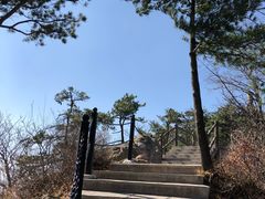 -王顺山国家森林公园