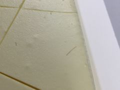 -21cake廿一客蛋糕