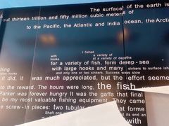 -鱼酷活鱼烤鱼(中联广场店)