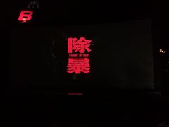 -枫花园汽车电影院(朝阳公园店)