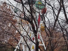 -西安市长乐公园