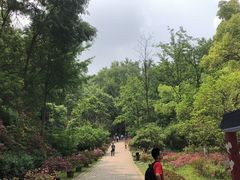 -南山风景名胜区