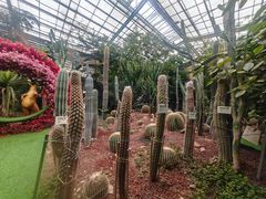 -呀路古热带植物园
