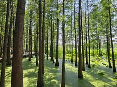 -云龙湖旅游景区