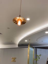-八佰伴8008星级形象店