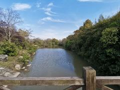 -上海海湾国家森林公园
