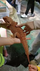 -酷嗒动物文化乐园(cutezoo西溪乐天城店)