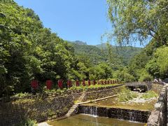 -牛背梁国家森林公园