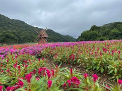 -广州市石门国家森林公园