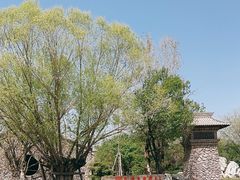 -源石酒庄