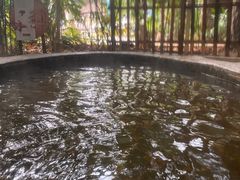 -龙达温泉生态城