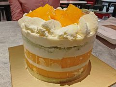 -布歌东京(益田假日店)