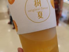 -树夏(鹭洲里店)