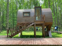 -黄海国家森林公园