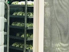 -白玉兰食品(甜云店)