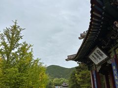 -晋祠公园