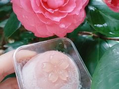 -元祖食品GANSO(星沙店)