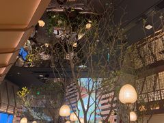 -桂满陇·海市蜃楼·黑金(国金店)