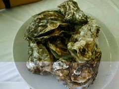 -渔民船说·北塘海鲜·天津菜·海肠捞饭(北塘古镇店)