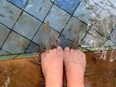 -江门古兜温泉小镇