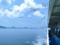 -海驴岛(荣成市)