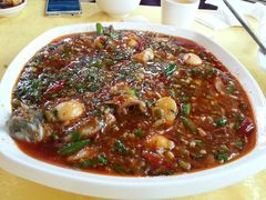 -胖大姐黄辣丁鱼庄(新津店)