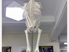 -中田健身工作室(东园店)