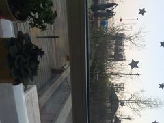 庭院咖啡-庭院咖啡