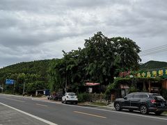 -岛中岛·海鲜大排档·万宁老字号(东澳店)