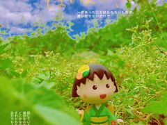 -白云山风景名胜区