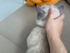 -一间摄影工作室(天安云谷店)