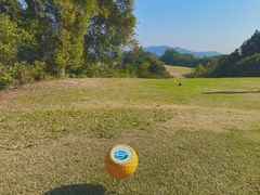 -罗浮山嘉宝田森林温泉度假酒店