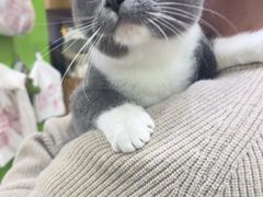 -唐小姐の猫狗洗护·购宠旗舰店(周浦万达店)