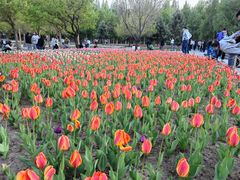 -长春公园(普阳街道)