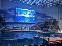 -福州罗源湾海洋世界旅游区