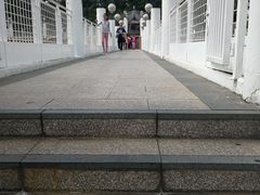 -九龙公园