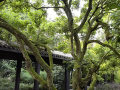 -张坝桂圆林公园