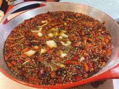 -雲蜀龙阁·金牌水煮鱼(方庄店)