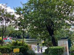 -荔湾湖公园