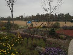 -上海长兴岛郊野公园