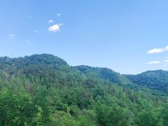 -磬锤峰森林公园