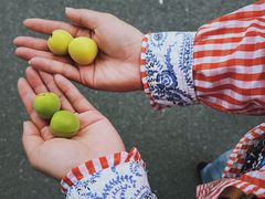 -昆山城市生态森林公园