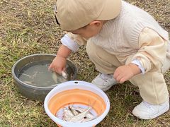 -梁子湖东篱老屋生态庄园
